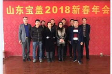 亚洲精品乱码久久久久久蜜桃912018年春節年會